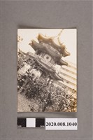 藏品(2名男女合照)的圖片