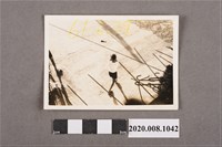 藏品(男子背影照)的圖片