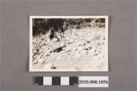 藏品(2名女子獨照)的圖片