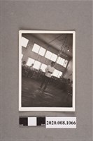 藏品(女子獨照)的圖片