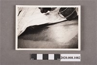 藏品(地面一景)的圖片