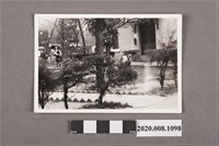 藏品(庭園一景)的圖片