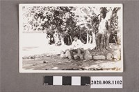 藏品(男子坐於石上獨照)的圖片