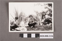 藏品(2名女子吃西瓜合照)的圖片