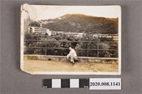 藏品(男子蹲姿獨照)的圖片