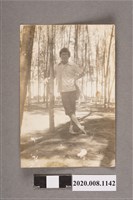 藏品(男子與竹林間獨照)的圖片