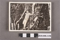 藏品(男子倚在樹旁獨照)的圖片