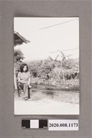 藏品(女子獨照)的圖片