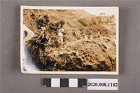 藏品(2名男子於野柳合照)的圖片