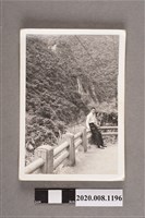 藏品(男子獨照)的圖片