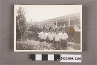 藏品(4名女子合照)的圖片