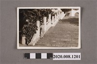 藏品(女子於階梯獨照)的圖片