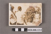 藏品(男子背影與他人合照)的圖片