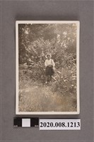 藏品(女學生於樹前獨照)的圖片