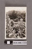 藏品(2名男子於叢間合照)的圖片