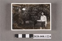 藏品(女子於樹旁獨照)的圖片