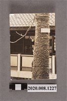 藏品(男子於樹後獨照)的圖片