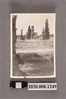 藏品(女子於樹旁合照)的圖片