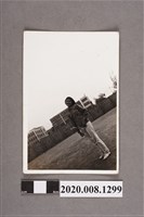 藏品(女子獨照)的圖片