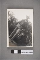 藏品(男子獨照)的圖片