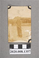 藏品(男子於網球場獨照)的圖片