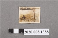 藏品(單人背影照)的圖片