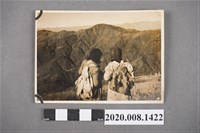 藏品(雙人看風景背影合照)的圖片