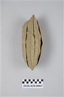 藏品(林慧津臺灣省立臺南女子高級中學軍訓船型帽)的圖片