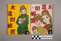 藏品(寶石出版社出版《永遠的秘密》上下集)的圖片