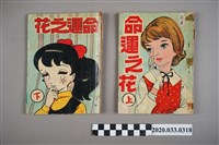 藏品(寶石出版社出版《命運之花》上下集)的圖片