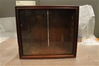 藏品(單側玻璃木質書櫃)的圖片