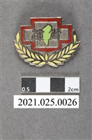 藏品(第10屆臺灣省運動會紀念章)的圖片