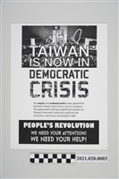 藏品(印有「TAIWAN IS NOW IN DEMOCRATIC CRISIS 」的文宣)的圖片