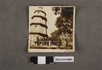 藏品(鄭萍帶學生出遊的合照)的圖片