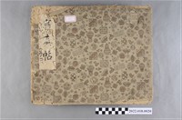 藏品(新竹州新竹第二公學校紀念相冊之三)的圖片