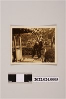 藏品(亭邊兩個男人合照黑白照片)的圖片