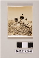 藏品(草地間兩個男人合照黑白照片)的圖片