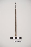 藏品(牙科用單頭不銹鋼7形探針)的圖片