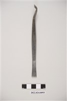 藏品(牙科用不鏽鋼彎角鑷子)的圖片