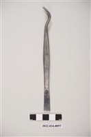 藏品(牙科用不鏽鋼彎角鑷子)的圖片