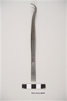 藏品(牙科用不鏽鋼彎角鑷子)的圖片