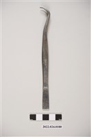 藏品(牙科用不鏽鋼彎角鑷子)的圖片