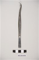 藏品(牙科用不鏽鋼彎角鑷子)的圖片