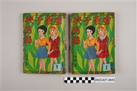 藏品(藝昇書店出版《金燕子與烏鴉》)的圖片