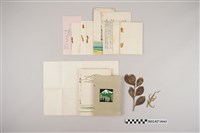 藏品(臺灣總督府殖產局山林課《大日本山林會大會參會者臺北宿割表》等山林會相關資料)的圖片