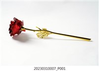 藏品(曾聖光贈母親之玫瑰花)的圖片