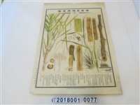 藏品(臺灣總督府殖產局發行甘蔗五種病害圖)的圖片