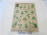 藏品(臺灣軍經理部篠原德之助編臺灣食用野草一覽圖其之二)的圖片