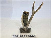 藏品(牛角花瓶)的圖片