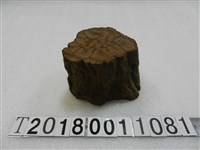 藏品(菊花木木塊)的圖片